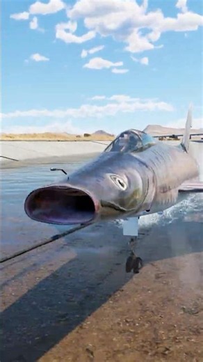 F-100 Super Catfish 🐟
