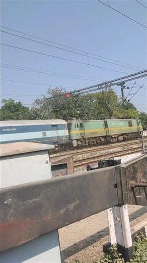 Train 🚂 #viral #shorts