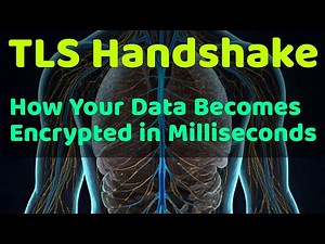 TLS Handshake: How Your Data Becomes Encrypted in Milliseconds