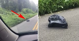 Woman swerves to miss trash bag in road, looks closer and gets the shivers