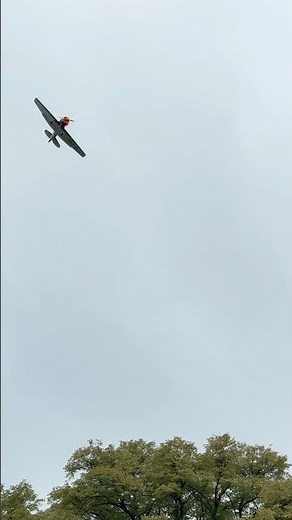 Oldtimer Flugshow Hahnweide 2025 ✈️ | OTT25 Airshow Highlights #Shorts