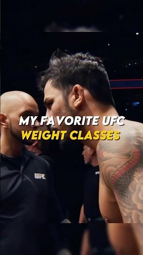 Ranking My Favorite UFC Weight Classes