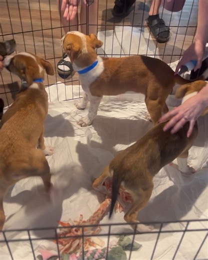 Julia London on Reels | Facebook