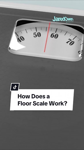 How Does a Floor Scale Work? #3d #3danimation #jaredowen #scale