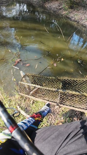 644K views · 5K reactions | เสียดายของ | Beer-Anon Poonamngen | Facebook