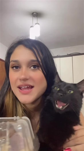 Vídeo de caquinho_cat (@caquinho_cat) relacionado a el gato