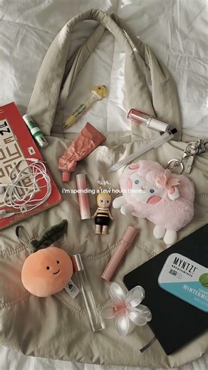 whats in my library bag !! #library #whatsinmybag #journal #booklover #booktok #books