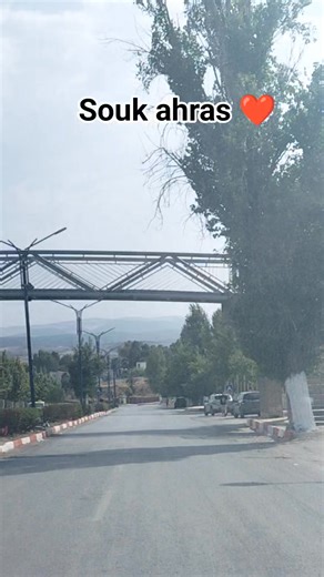 Souk ahras le 20/08/2025 💜💚❤️ فيديو خاص لأحد المتابعين الاوفياء 👋 تحياتنا الحارة 🇩🇿 | Rak fi Souk-Ahras