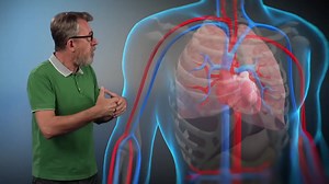 26K views · 1.2K reactions | Le cycle cardiaque source: initiatives.fr | Biologie Simplifiée | Facebook