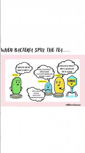 When Bacteria Spill the Tea ☕ | Viral Meme Alert #basicstobrain #meme #gossip #shorts