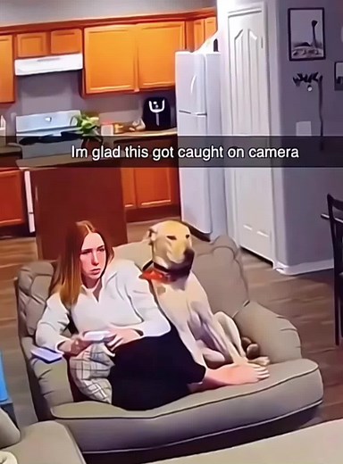 Why Dogs Are Considered Human's Best Friends