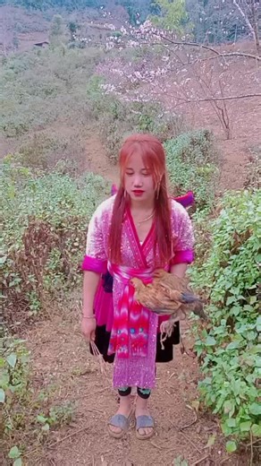 Exploring Hmoob Culture Through Traditional Practices