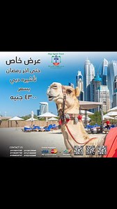 Map Egypt Tours on Reels