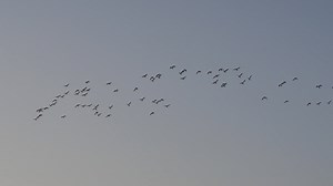 11K views · 52 reactions | The prairie pothole region of...