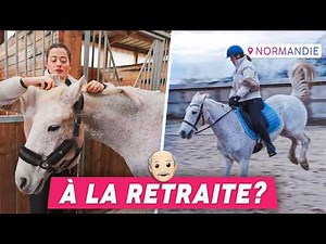 HAVING A RETIRED HORSE