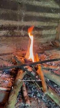 Cooking Sardines & Wild Ferns on a Wood Fire 🔥