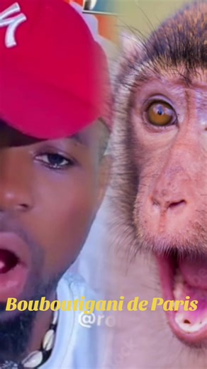 #vues @graigrai @Lakamané1🇲🇱🇹🇳🇮🇹 @général de Doug Massira @Antonio @sénateur 🥷 224 🇬🇳 🇨🇮 #vues