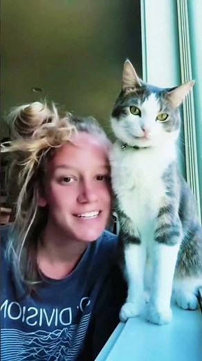 Cats that attack their owners #CatTok #CatFails2025 #NYCCatspotlight #Purrfectchallenge #usa