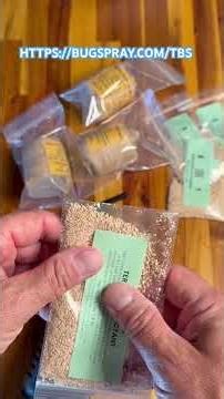 Termite Bait Stations for the Yard | BUGSPRAY. COM https://bugspray.com/tbs