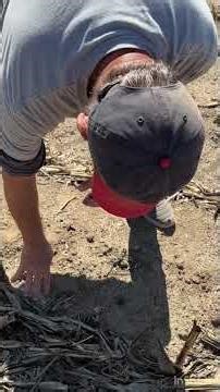 A beautiful day for a hunt in Ohio😀