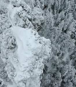 Search and Rescue - blue bird