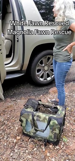 magnoliafawnrescue on TikTok