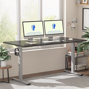 FLEXISPOT 55"x28" Home Office Height Adjustable Standing Desk with Hooks, Ergonomic Electric 2-Stage Stand Up Computer Desk, Gray and Black