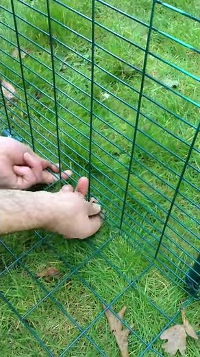 Omlet Chicken Run Connector Clips