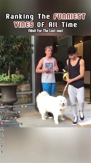 Ranking The FUNNIEST Vines OF All Time 😭#Ranking #Vines #USA #Short
