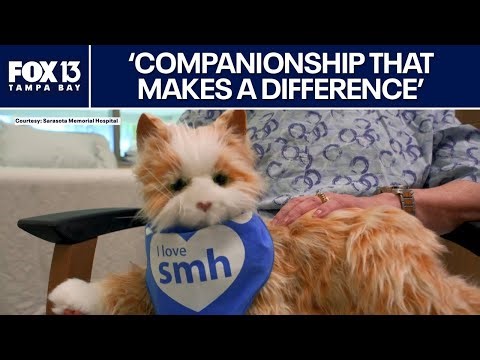 Robotic pets helping dementia patients in Florida clinical study