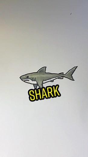 Make sure you are ready if someone asks you to draw a shark! #howtodraw a #shark #drawingtutorial #drawwithshane