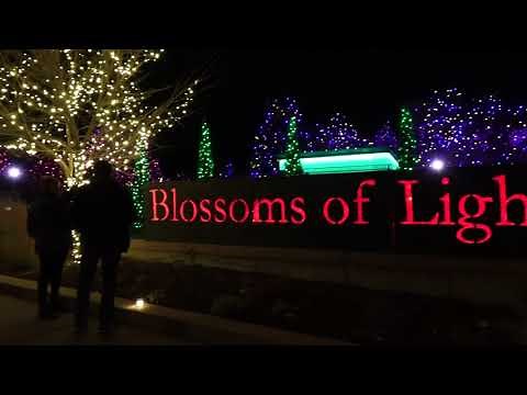Virtual walk through the Denver Botanic Garden's Blossoms of Light