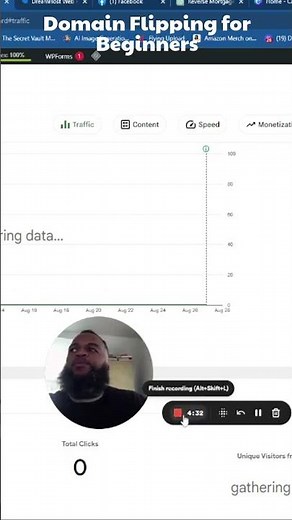 Domain Flipping for Beginners