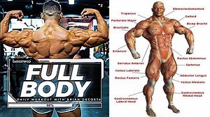 The Best Exercises for a Full Body Workout Total Body Workouts