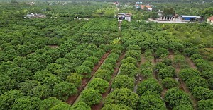 Video by Cuong Nguyen on Pexels