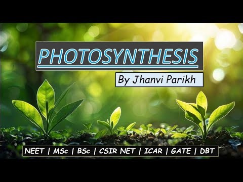 CSIR NET Life sciences PYQs on Light reaction.