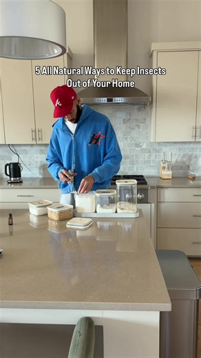 5 Natural Methods to Keep Insects Out of Your Home