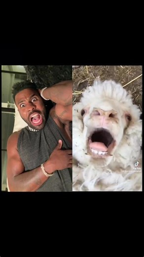 Ahhh🐐 @theAWSOMavenger