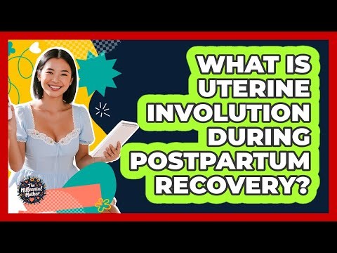 What Is Uterine Involution During Postpartum Recovery? - The Millennial Mother