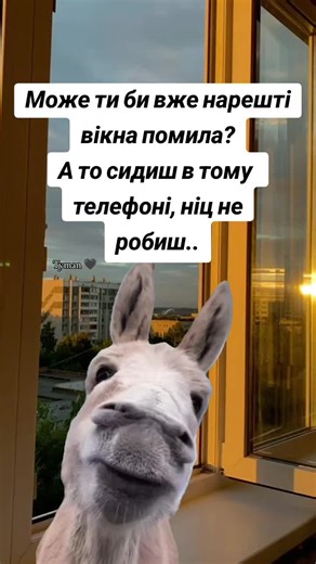 Cleaning Windows: A Friendly Reminder