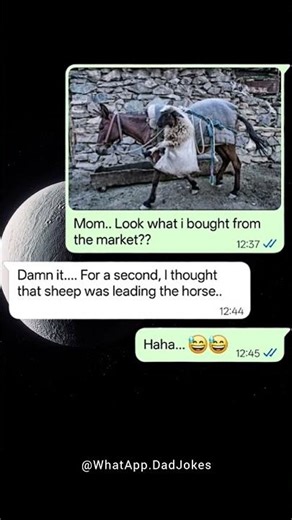 Coincidence at its Best #shorts #memes #viral #jokes #funny #lol #laugh