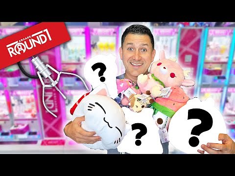 We Won ALL of these from the Claw Machines so Easily!