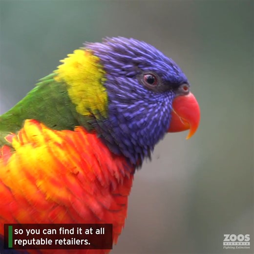 5.3K views · 298 reactions | If you would like to use netting over...