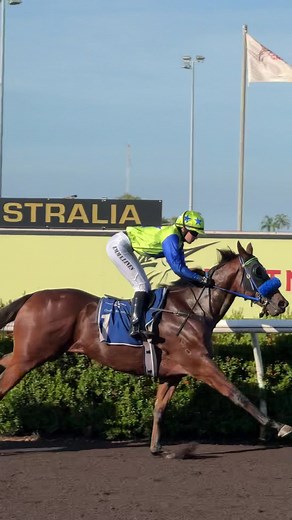 Miami Vice and Emma Lines: A Thrilling Horse Racing Experience