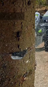 Cutting-edge innovation delivers incredible power and performance. Check out these must-haves for fall. | EGO | Facebook