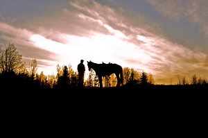 Horse training | Sawatzky Equine Services