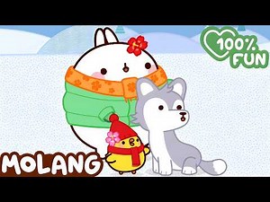 Molang & Piu Piu: Animal Rescue Mission! 🐼 Cartoon for Kids | Funny Adventures