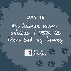 3.1K views · 21 reactions | Diary of a lockdown doggo. Part 2. Post your best pics of your dog waiting for a tummy rub below. | ManyPets UK | Facebook