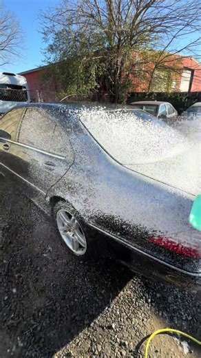 Exterior Car Cleaning with Shampoo Techniques