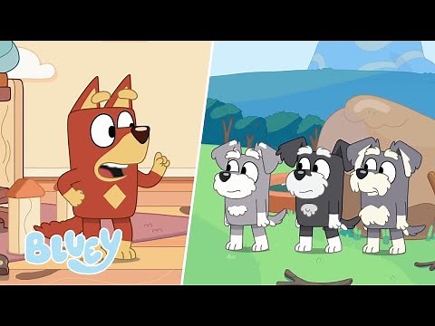 The Best of Rusty and the Terriers | Bluey
